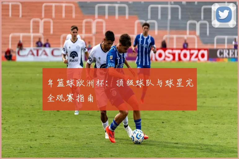年篮球欧洲杯：顶级球队与球星完全观赛指南